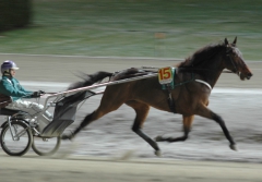 Quality Questioned 151216-1